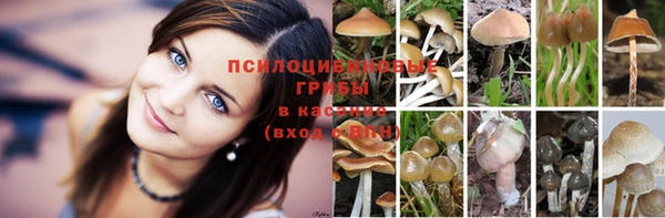 тгк Алексеевка