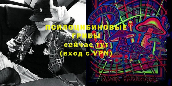 бошки Алексин