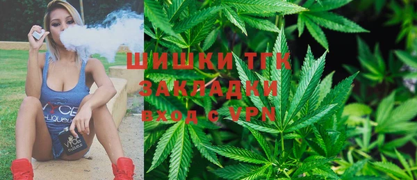 бошки Алексин