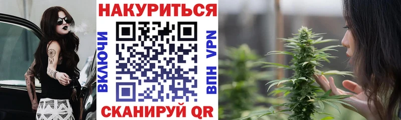 Купить где  Губкин  Канабис индика 